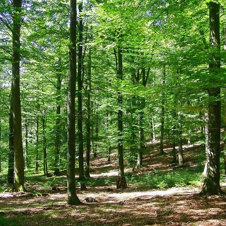 Gites La Tabatiere Laforêt Екстериор снимка